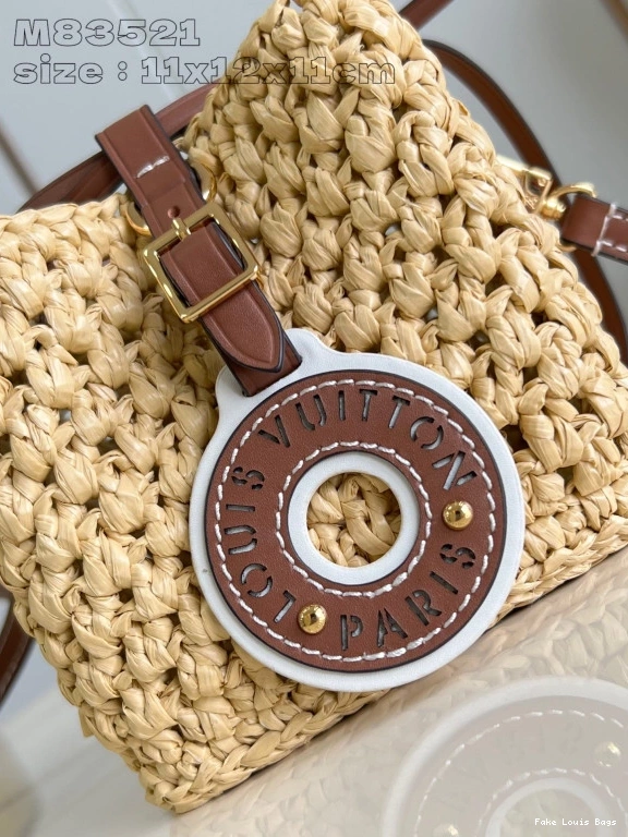Fake Louis Bags NOÉ VUITTON PURSE LOUIS 0804